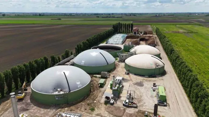 BIOMETANO: LA CACCA DI POLLO PUZZA? IL GSE TAGLIEREBBE I FONDI ALLA SGR