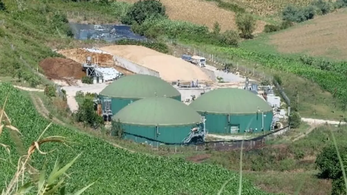 BIOMETANO, SENZA LATINI... IN ARRIVO IL PROFUMO MEFITICO DELLA SCONFITTA