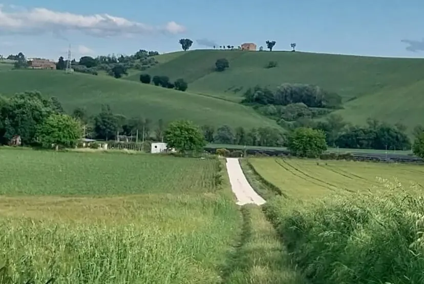 IL "PENTITO" MAGI (FDI) RIMBROTTATO DAI NUOVI ALLEATI ANTI DISCARICA DEL PD