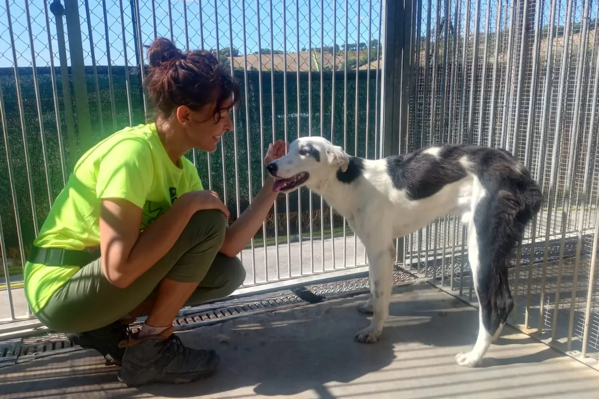 NON ERANO RIFIUTI, ERANO FRATELLI: LA RIVINCITA DI FONZIE
