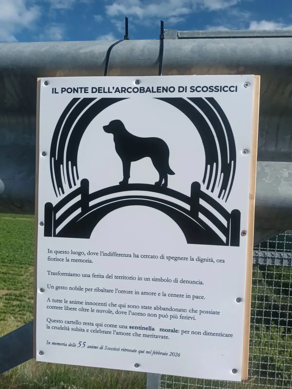 IL CAVALCAVIA 192 DELL'ORRORE DIVENTA "DELL'ARCOBALENO": UN CARTELLO ANTI OBLIO PER STANARE LE INDAGINI SUI 55 CANI UCCISI