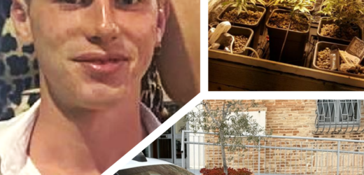 𝑰𝑳 𝑷𝑶𝑳𝑳𝑰𝑪𝑬 𝑽𝑬𝑹𝑫𝑬 𝑻𝑹𝑨𝑫𝑰𝑺𝑪𝑬 𝑫𝑰 𝑵𝑼𝑶𝑽𝑶 𝑮𝑨𝑩𝑹𝑰𝑬𝑳 𝑭𝑶𝑪𝑨𝑵𝑻𝑬“𝑪𝑨𝑹𝑨𝑩𝑰𝑵𝑰𝑬𝑹𝑰-𝑮𝑰𝑨𝑹𝑫𝑰𝑵𝑰𝑬𝑹𝑰” 𝑰𝑵 𝑨𝒁𝑰𝑶𝑵𝑬 𝑨 𝑪𝑨𝑵𝑻𝑨𝑳𝑼𝑷𝑶