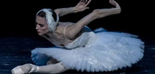 𝗢𝗥𝗘 𝟭𝟱.𝟯𝟬, 𝗣𝗜𝗥𝗔𝗡𝗜 𝗠𝗘𝗧𝗧𝗘 𝗜𝗡 𝗦𝗖𝗘𝗡𝗔 “𝗟𝗔 𝗠𝗢𝗥𝗧𝗘 𝗗𝗘𝗟 𝗖𝗜𝗚𝗡𝗢”𝗗𝗢𝗣𝗢 𝟰 𝗧𝗘𝗡𝗧𝗔𝗧𝗜𝗩𝗜 𝗙𝗔𝗟𝗟𝗜𝗧𝗜, 𝗢𝗚𝗚𝗜 𝗜𝗟 𝗖𝗢𝗡𝗦𝗜𝗚𝗟𝗜𝗢! 𝗟’𝗨𝗟𝗧𝗜𝗠𝗢?