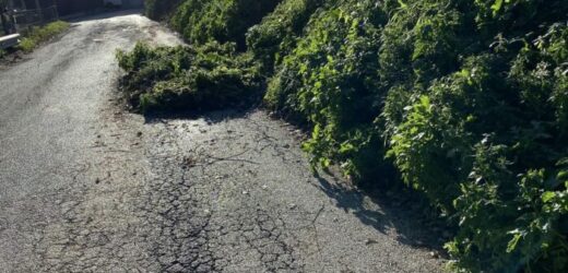 𝗔𝗣𝗣𝗘𝗡𝗔 𝗗𝗨𝗘 𝗕𝗔𝗗𝗜𝗟𝗔𝗧𝗘 𝗧𝗘𝗦𝗧𝗔 𝗛𝗔𝗡𝗡𝗢 𝗥𝗜𝗦𝗢𝗟𝗧𝗢 𝗟’𝗘𝗠𝗘𝗥𝗚𝗘𝗡𝗭𝗔 𝗦𝗕𝗥𝗢𝗭𝗭𝗢𝗟𝗔!𝗘𝗣𝗣𝗨𝗥𝗘 𝗦𝗧𝗥𝗔𝗗𝗔 𝗘’ 𝗥𝗜𝗠𝗔𝗦𝗧𝗔 𝗖𝗛𝗜𝗨𝗦𝗔 𝗔𝗟 𝗧𝗥𝗔𝗙𝗙𝗜𝗖𝗢 𝗣𝗘𝗥 𝟱 𝗚𝗜𝗢𝗥𝗡𝗜: 𝗣𝗘𝗥𝗖𝗛𝗘’?