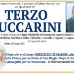 Terzo LUCCARINI