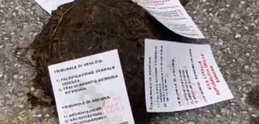 “𝗩𝗜𝗧𝗧𝗜𝗠𝗔 𝗗𝗘𝗟𝗟𝗔 𝗚𝗜𝗨𝗦𝗧𝗜𝗭𝗜𝗔” 𝗦𝗖𝗔𝗥𝗜𝗖𝗔 𝗟𝗘𝗧𝗔𝗠𝗘 𝗗𝗔𝗩𝗔𝗡𝗧𝗜 𝗜𝗟 𝗧𝗥𝗜𝗕𝗨𝗡𝗔𝗟𝗘!𝗣𝗥𝗢𝗧𝗔𝗚𝗢𝗡𝗜𝗦𝗧𝗔 𝗦𝗜𝗟𝗩𝗔𝗡𝗢 𝗗𝗢𝗠𝗘𝗡𝗜𝗖𝗛𝗜𝗡𝗜, 𝟳𝟲 𝗔𝗡𝗡𝗜, 𝗢𝗦𝗜𝗠𝗔𝗡𝗢 𝗘𝗦𝗔𝗦𝗣𝗘𝗥𝗔𝗧𝗢