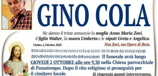 Gino COLA