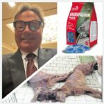 𝗗𝗜𝗩𝗔, 𝗛𝗘𝗥𝗠𝗘𝗦 𝗘 𝗠𝗔𝗫 𝗨𝗖𝗖𝗜𝗦𝗜 𝗣𝗘𝗥 𝗩𝗜𝗢𝗟𝗘𝗡𝗭𝗔 𝗩𝗜𝗖𝗔𝗥𝗜𝗔 𝗦𝗨𝗟𝗟𝗔 𝗘𝗫 𝗖𝗢𝗠𝗣𝗔𝗚𝗡𝗔?𝟴 𝗠𝗘𝗦𝗜 𝗔𝗟𝗟’𝗔𝗩𝗩𝗢𝗖𝗔𝗧𝗢 𝗕𝗔𝗧𝗧𝗘𝗟𝗟𝗜𝗡𝗜, 𝗣𝗔𝗗𝗥𝗢𝗡𝗘 𝗗𝗘𝗜 𝗧𝗥𝗘 𝗦𝗘𝗧𝗧𝗘𝗥 𝗔𝗩𝗩𝗘𝗟𝗘𝗡𝗔𝗧𝗜