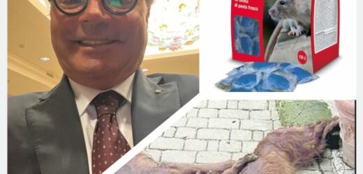 𝗗𝗜𝗩𝗔, 𝗛𝗘𝗥𝗠𝗘𝗦 𝗘 𝗠𝗔𝗫 𝗨𝗖𝗖𝗜𝗦𝗜 𝗣𝗘𝗥 𝗩𝗜𝗢𝗟𝗘𝗡𝗭𝗔 𝗩𝗜𝗖𝗔𝗥𝗜𝗔 𝗦𝗨𝗟𝗟𝗔 𝗘𝗫 𝗖𝗢𝗠𝗣𝗔𝗚𝗡𝗔?𝟴 𝗠𝗘𝗦𝗜 𝗔𝗟𝗟’𝗔𝗩𝗩𝗢𝗖𝗔𝗧𝗢 𝗕𝗔𝗧𝗧𝗘𝗟𝗟𝗜𝗡𝗜, 𝗣𝗔𝗗𝗥𝗢𝗡𝗘 𝗗𝗘𝗜 𝗧𝗥𝗘 𝗦𝗘𝗧𝗧𝗘𝗥 𝗔𝗩𝗩𝗘𝗟𝗘𝗡𝗔𝗧𝗜