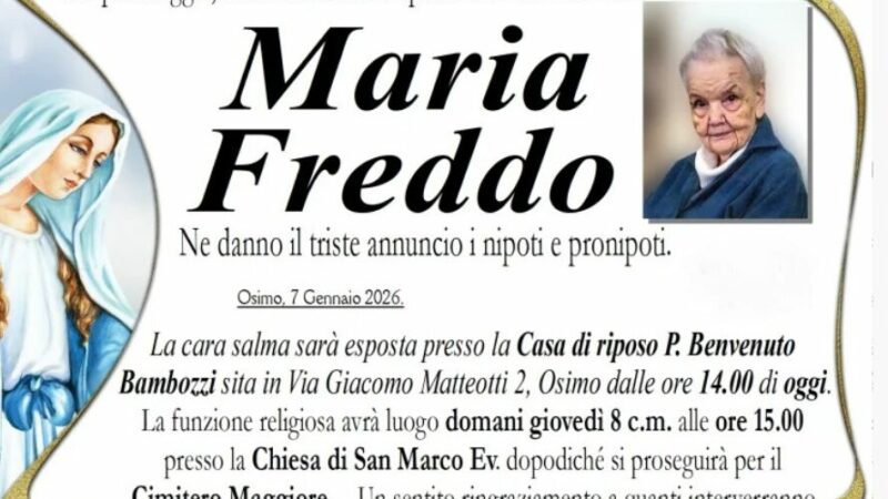 Maria FREDDO